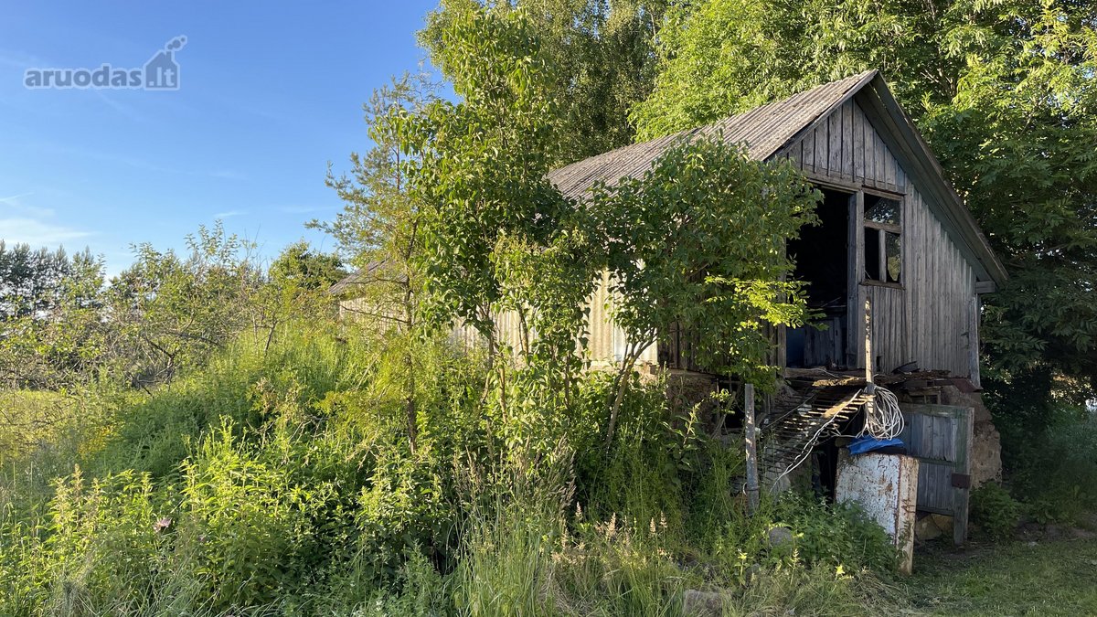 Parduodama tikra ramybės oazė, kurią Tėvukas - nuotraukos Nr. 10