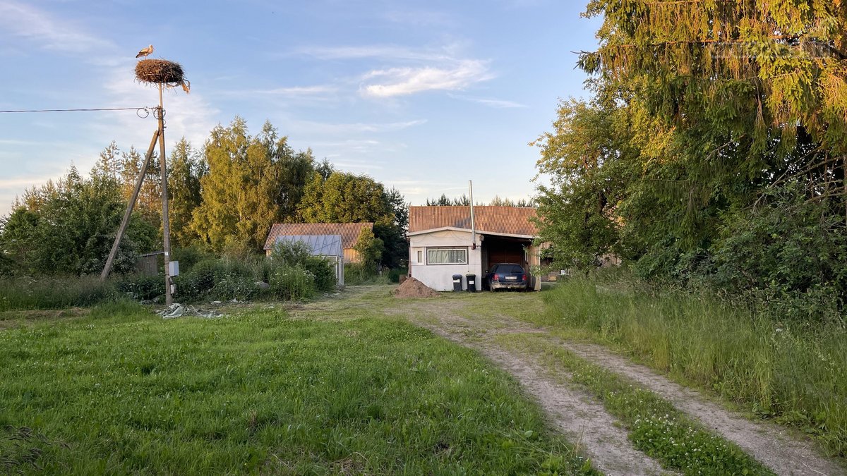 Parduodama tikra ramybės oazė, kurią Tėvukas - nuotraukos Nr. 18