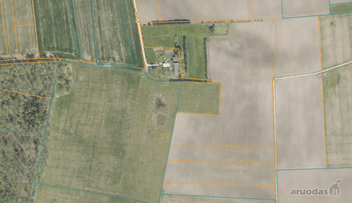 Parduodama tikra ramybės oazė, kurią Tėvukas - nuotraukos Nr. 20