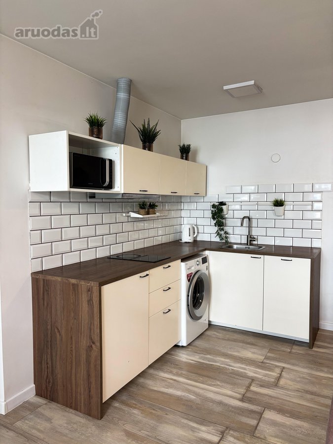 Išnuomojamas 1 Kambario, 37 M² Butas - nuotraukos Nr. 6