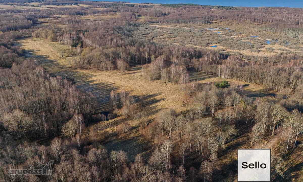  – Nt ekspertai be procentų - nuotraukos Nr. 6