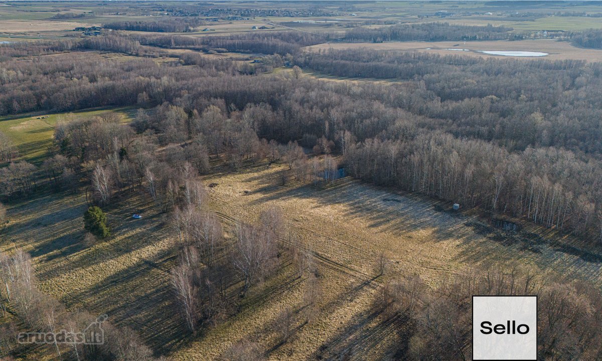  – Nt ekspertai be procentų - nuotraukos Nr. 8