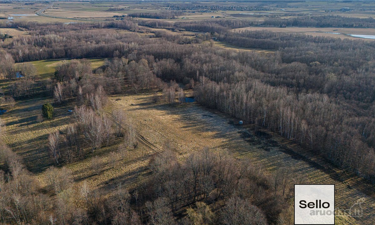  – Nt ekspertai be procentų - nuotraukos Nr. 10