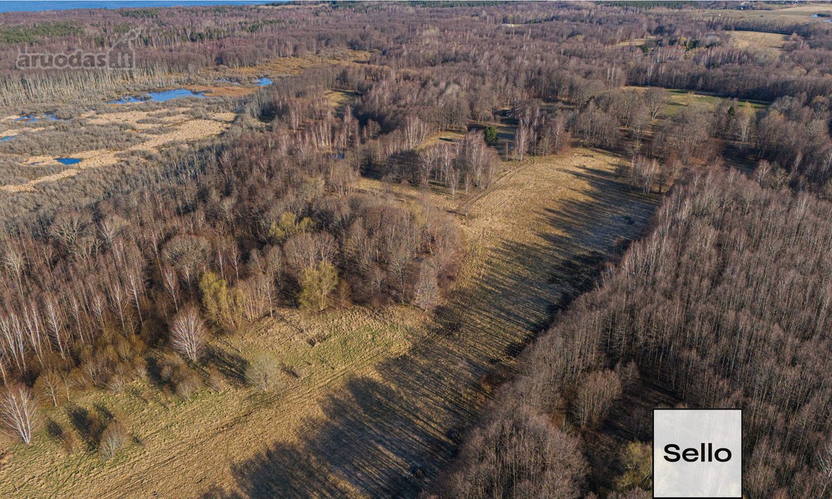  – Nt ekspertai be procentų - nuotraukos Nr. 19
