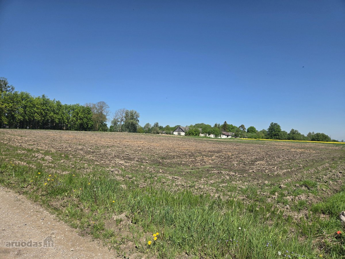 Parduodu žemės sklypą 2.7 ha su ūkiniu - nuotraukos Nr. 3