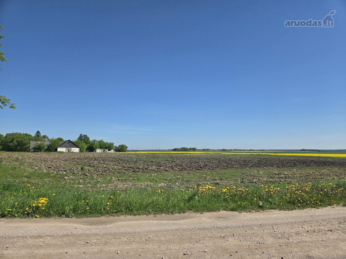 Parduodu žemės sklypą 2.7 ha su ūkiniu - nuotraukos Nr. 4