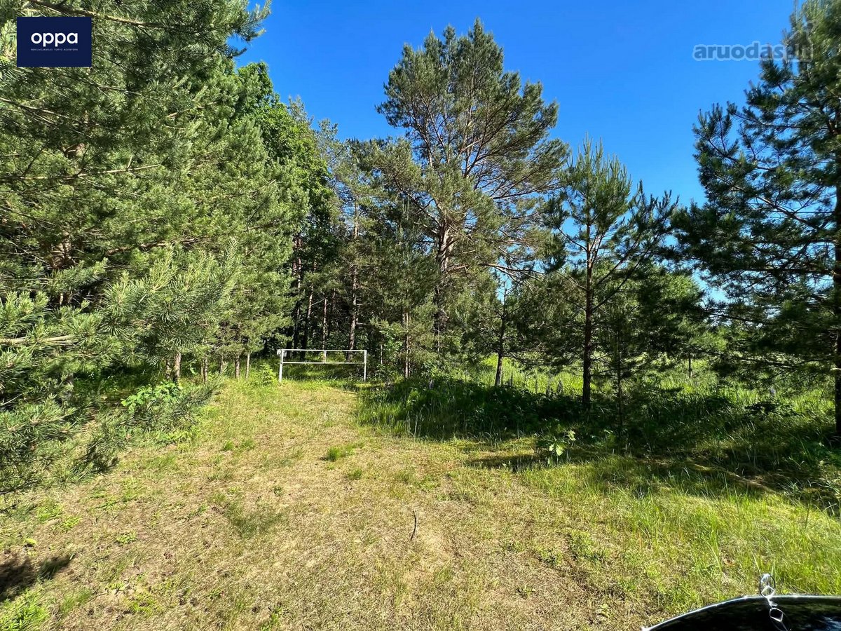 Parduodamas 3,10 ha žemės sklypas Ukmergės r. - nuotraukos Nr. 2