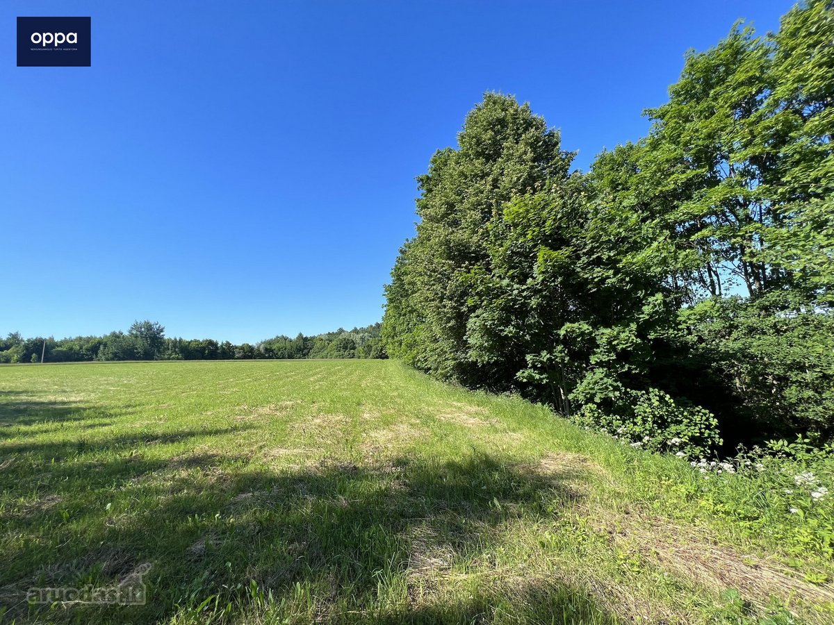 Parduodamas 3,10 ha žemės sklypas Ukmergės r. - nuotraukos Nr. 3