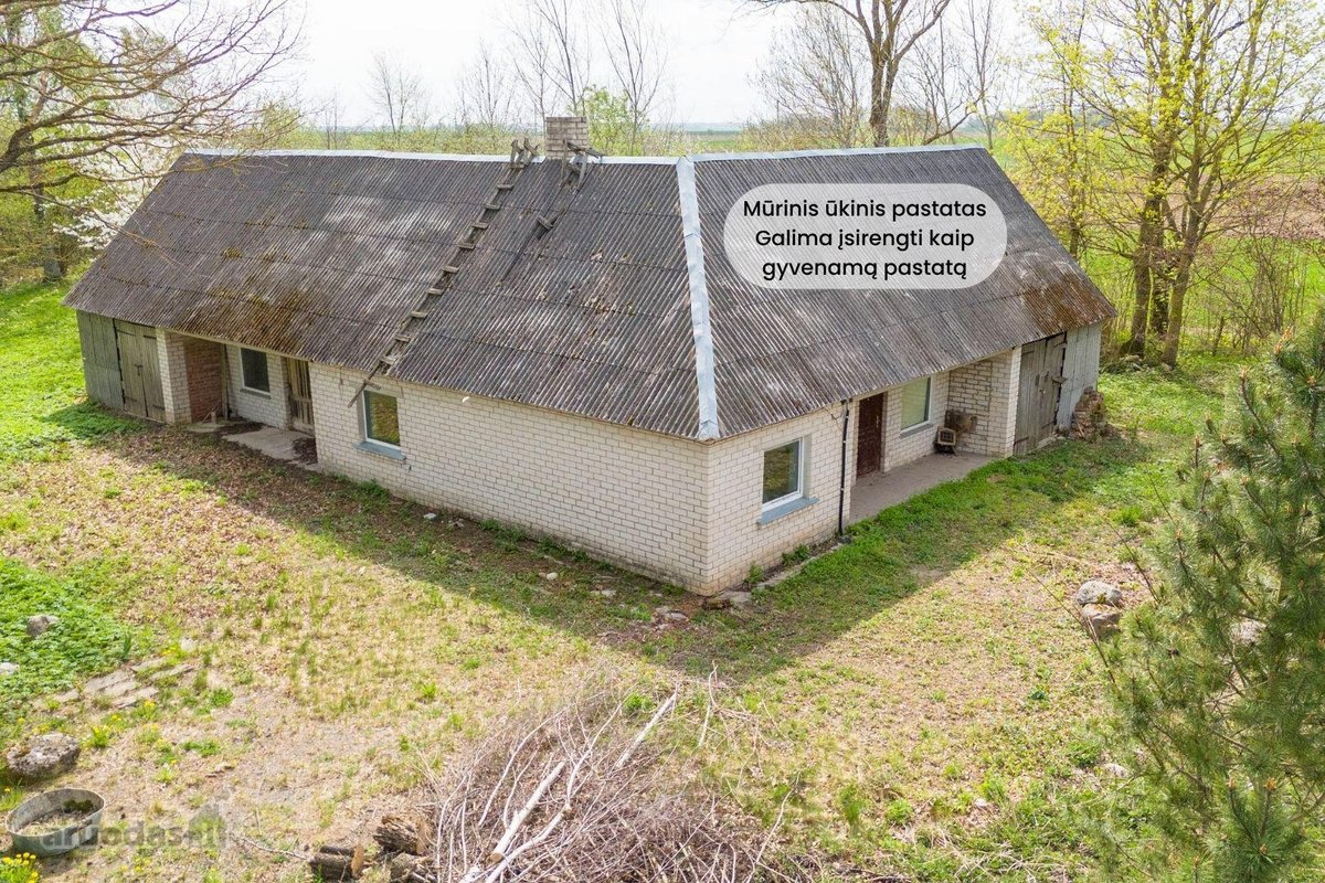 Parduodama sodyba ramioje vietoje, Pakruojo - nuotraukos Nr. 13