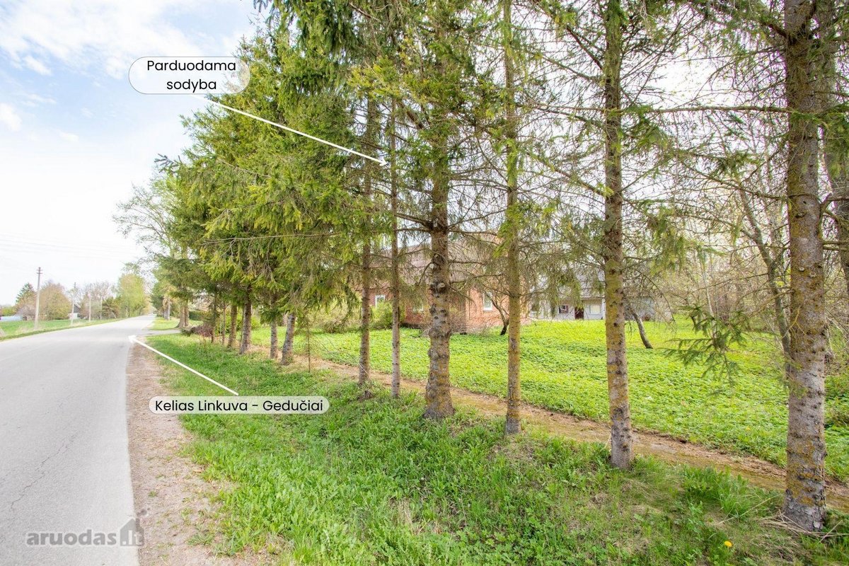 Parduodama sodyba ramioje vietoje, Pakruojo - nuotraukos Nr. 20