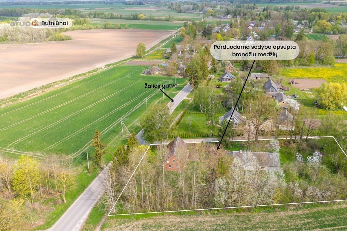 Parduodama sodyba ramioje vietoje, Pakruojo - nuotraukos Nr. 25