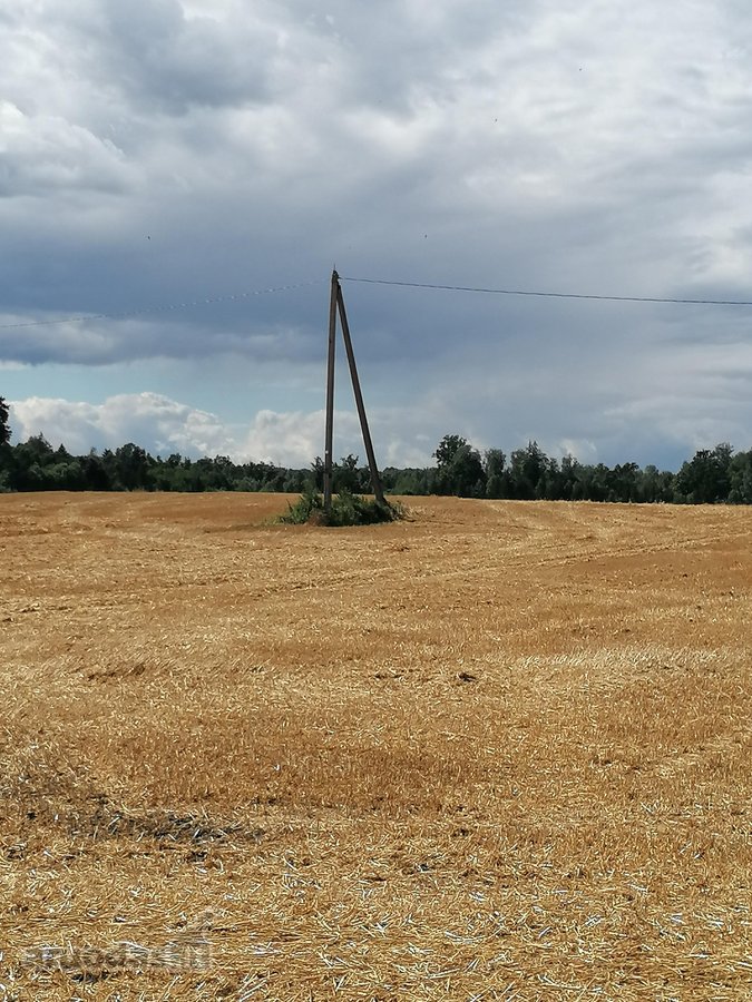 Viena kraštinė 36.18m ribojasi su Varluvos - nuotraukos Nr. 5