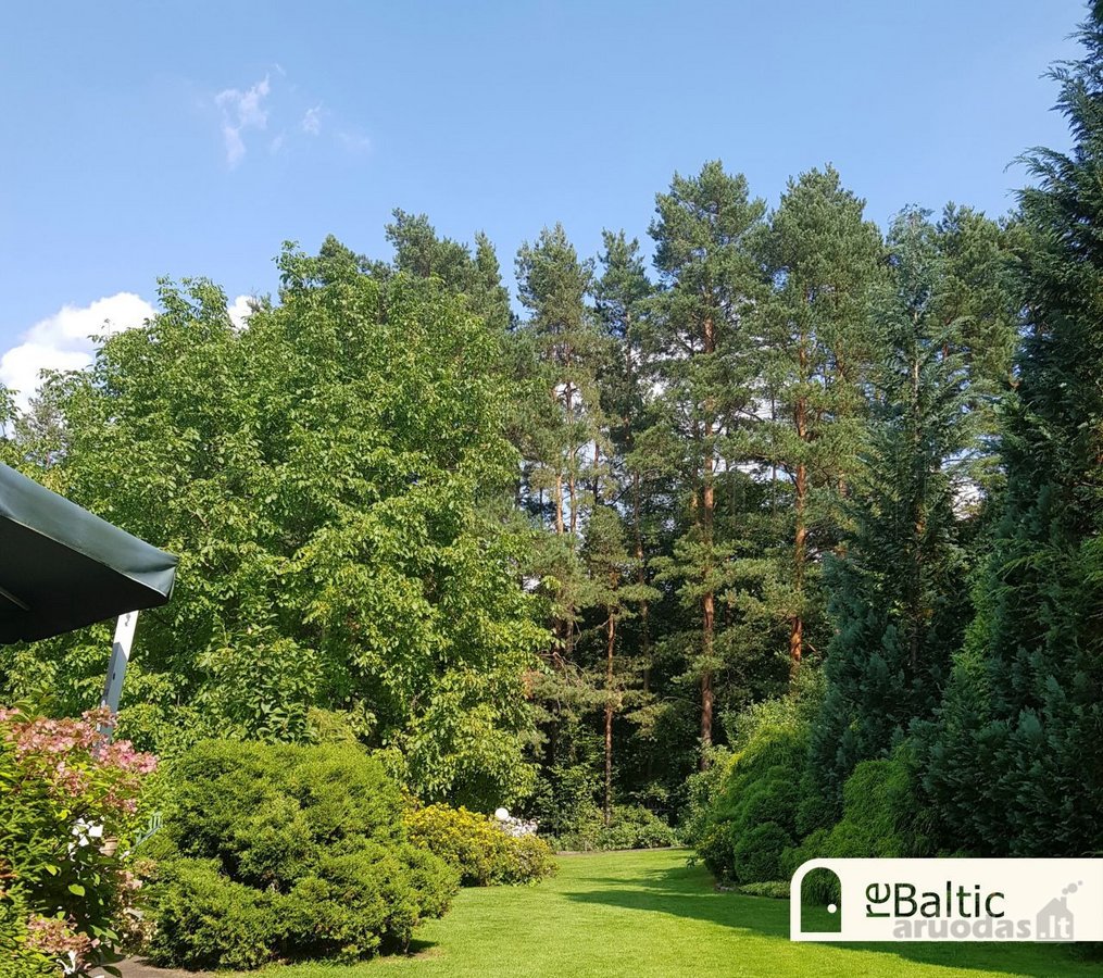 Unikalus sklypas Antakalnyje, prestižinėje - nuotraukos Nr. 11