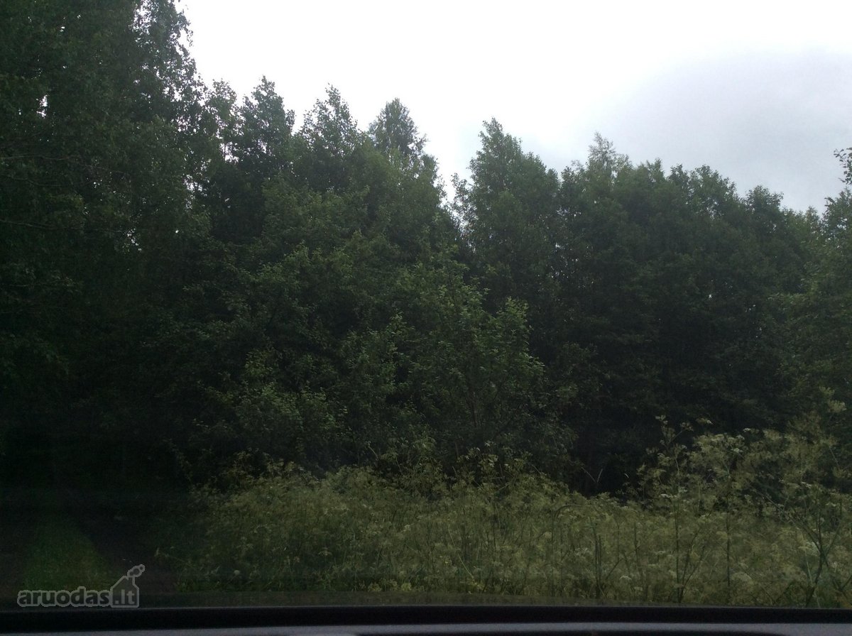 Parduodu 7ha žemės sklypą. Tankiai apaugęs - nuotraukos Nr. 4