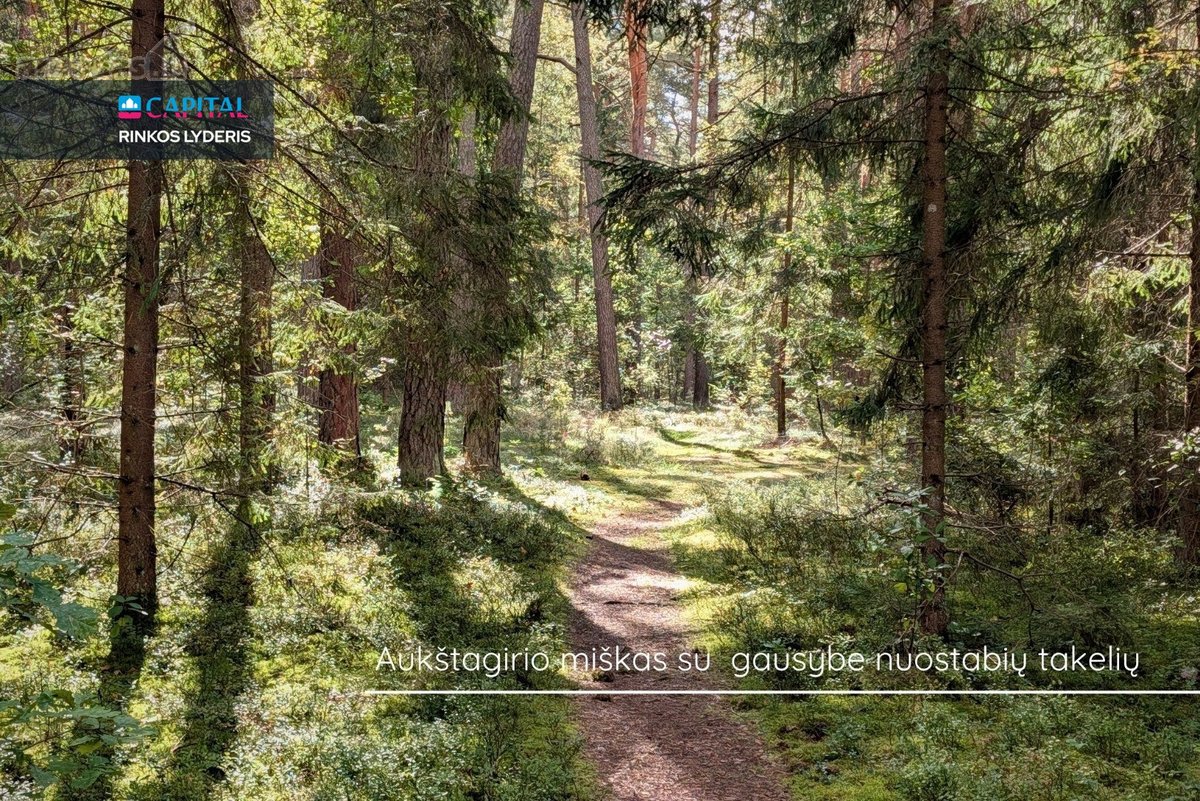 Parduodamas 4,35 A Sklypas Su Mūriniu Sodo - nuotraukos Nr. 14