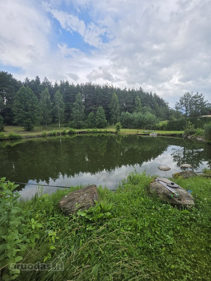 Parduodamas erdvus dviejų aukštų gyvenamasis - nuotraukos Nr. 8