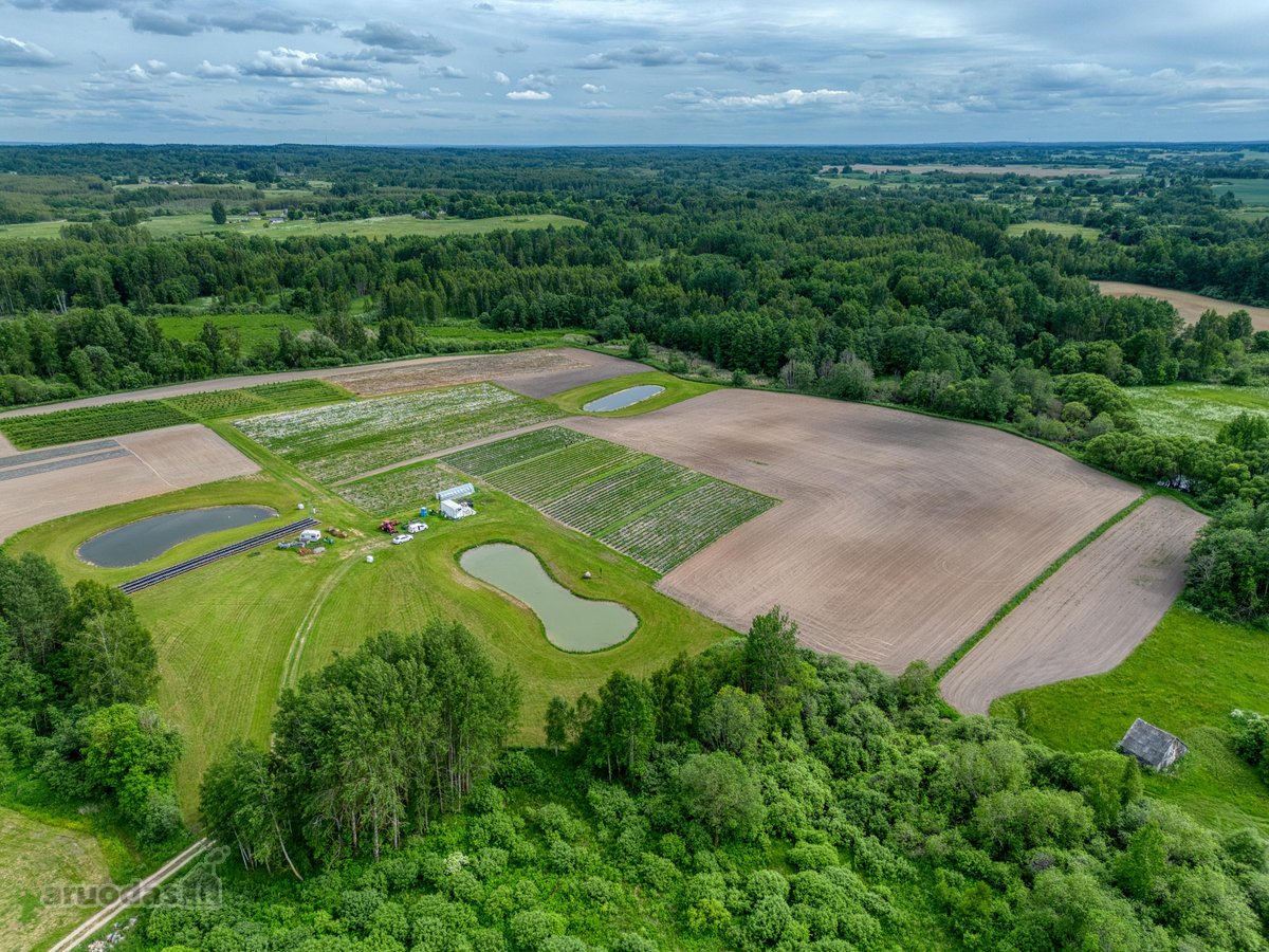 Parduodamas 15,4 ha žemės sklypas. 1,2 ha - nuotraukos Nr. 2