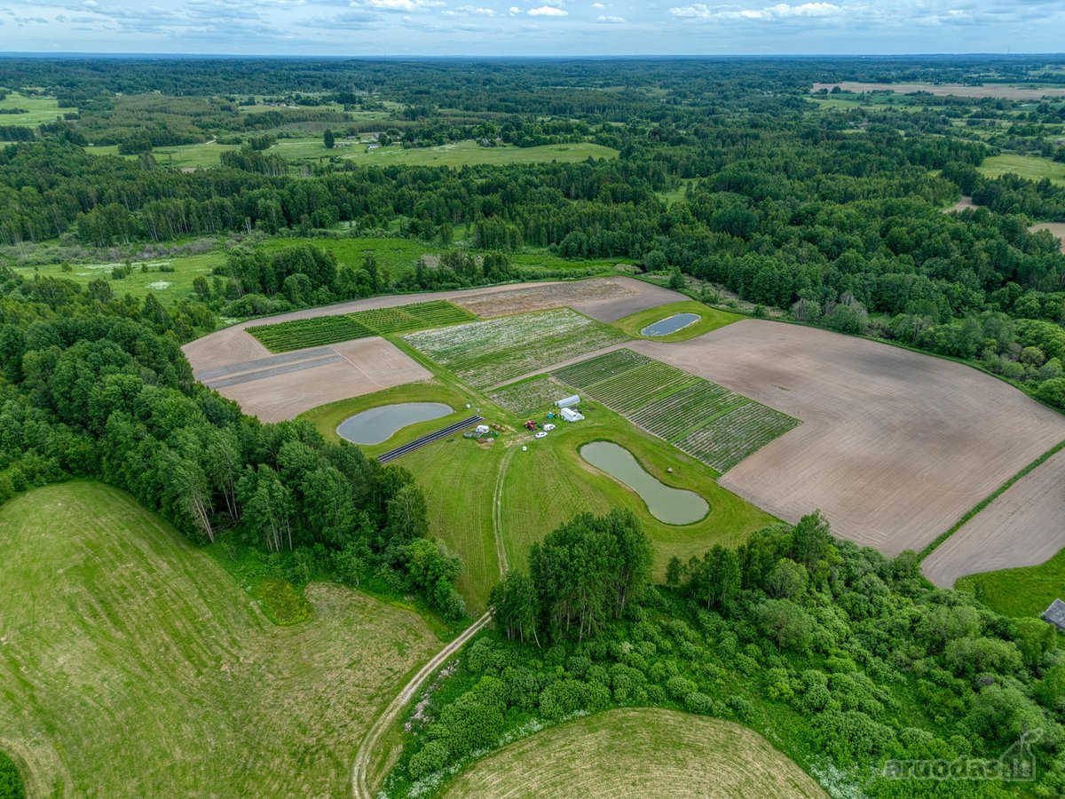 Parduodamas 15,4 ha žemės sklypas. 1,2 ha - nuotraukos Nr. 3