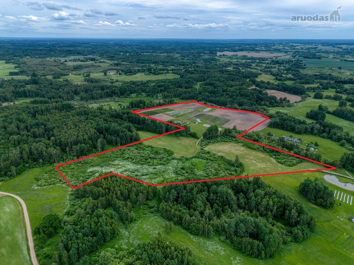 Parduodamas 15,4 ha žemės sklypas. 1,2 ha - nuotraukos Nr. 3