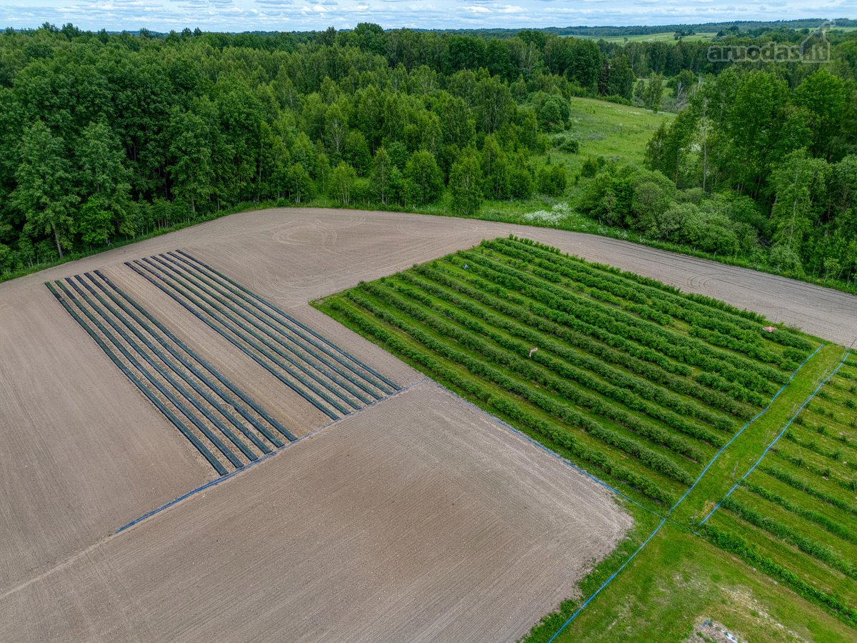 Parduodamas 15,4 ha žemės sklypas. 1,2 ha - nuotraukos Nr. 5