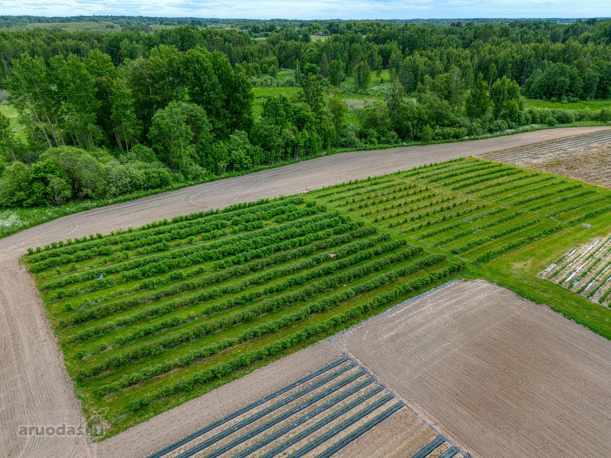 Parduodamas 15,4 ha žemės sklypas. 1,2 ha - nuotraukos Nr. 6
