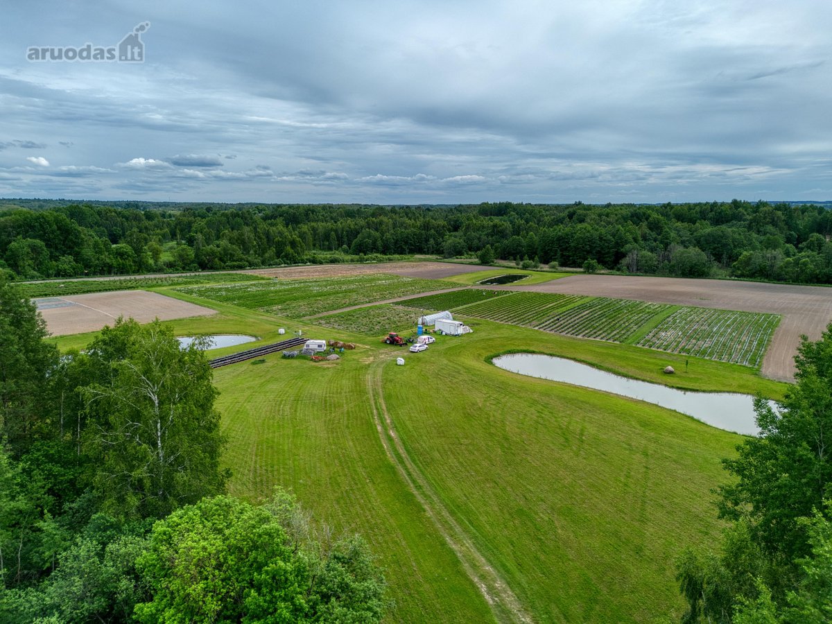 Parduodamas 15,4 ha žemės sklypas. 1,2 ha - nuotraukos Nr. 7