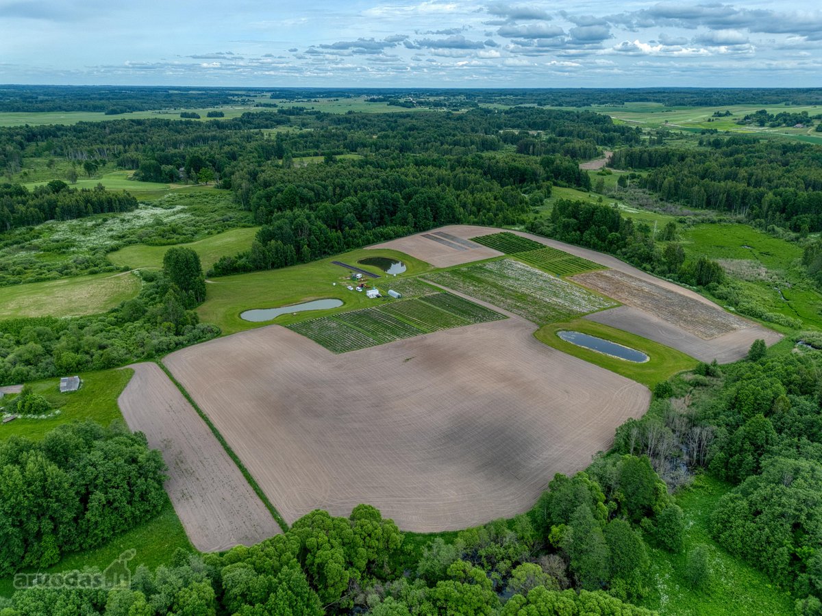 Parduodamas 15,4 ha žemės sklypas. 1,2 ha - nuotraukos Nr. 8