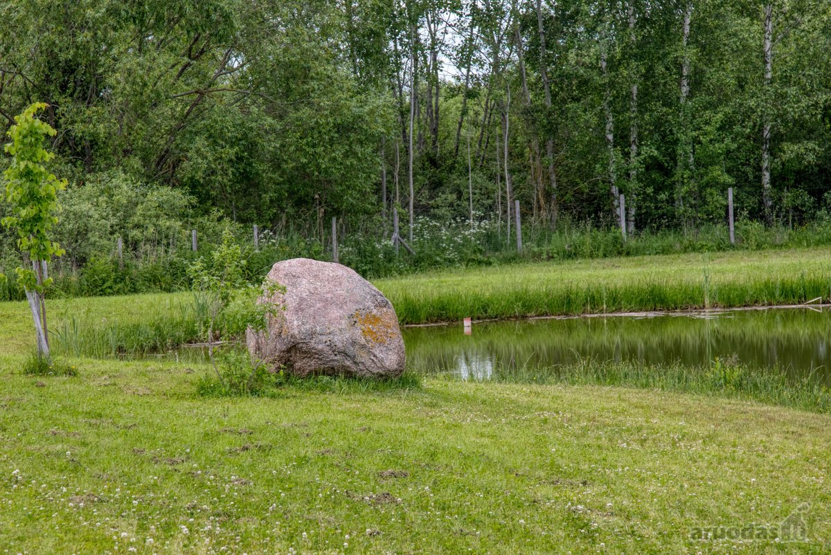 Parduodamas 15,4 ha žemės sklypas. 1,2 ha - nuotraukos Nr. 9