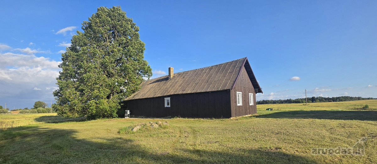 Parduodama jauki 40a. sodyba - vienkiemis - nuotraukos Nr. 3