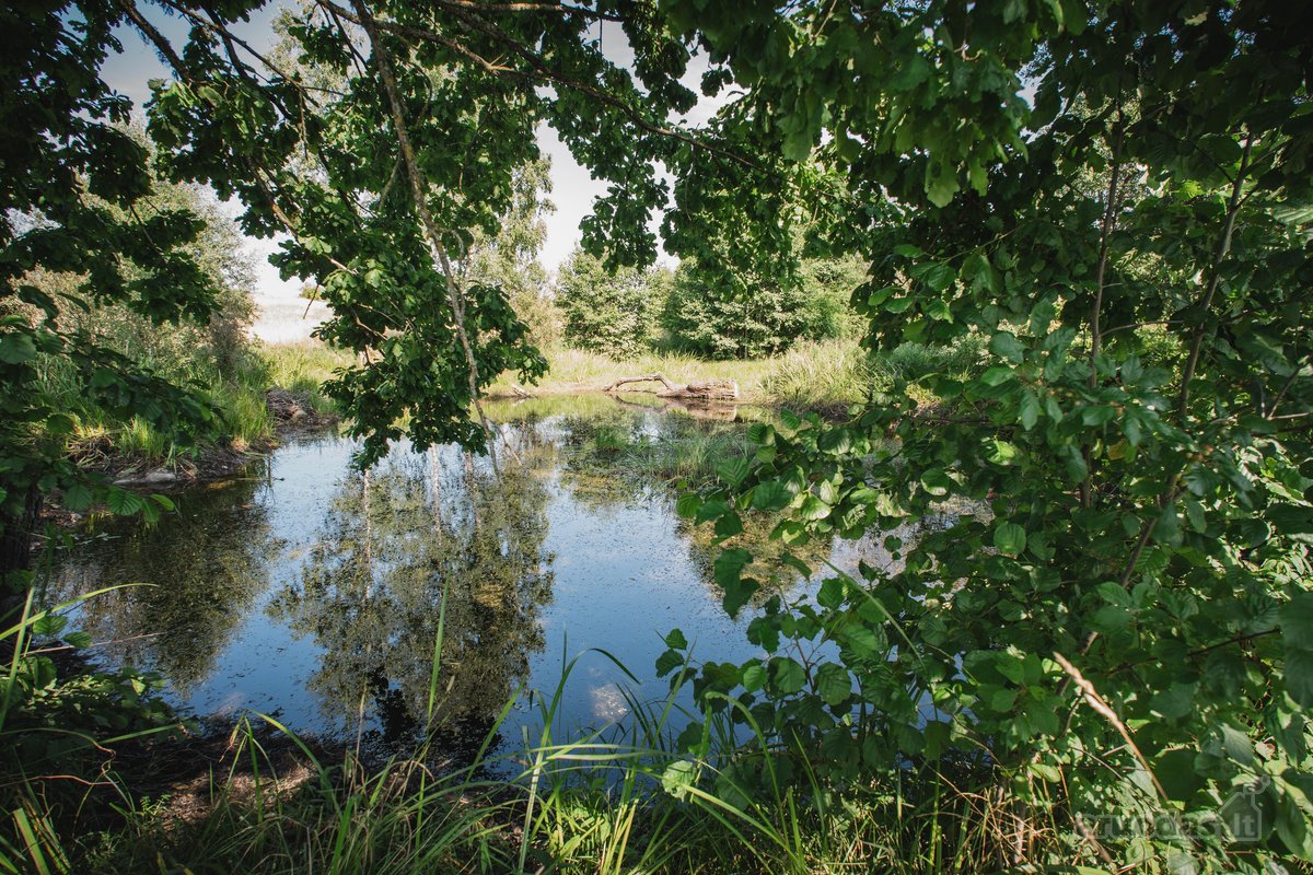 Parduodama Sodyba Su 2,36 Ha Sklypu, Ūkiniais - nuotraukos Nr. 40