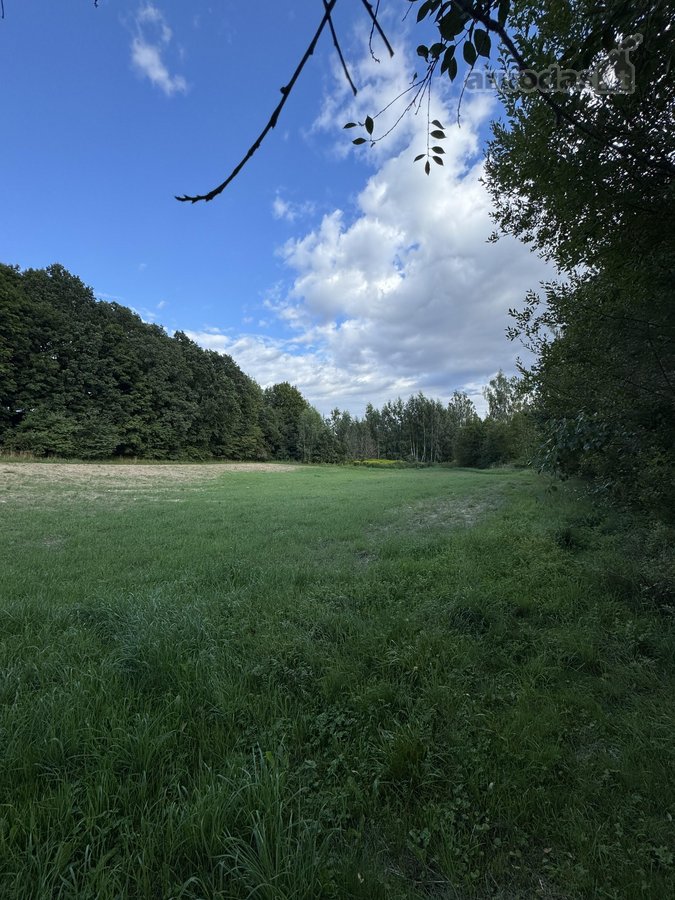 Parduodami be tarpininkų du greta esantys - nuotraukos Nr. 10