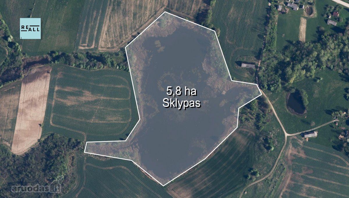 Parduodamas 5,8 Ha Sklypas Su Ežeru – Kelmės - nuotraukos Nr. 2