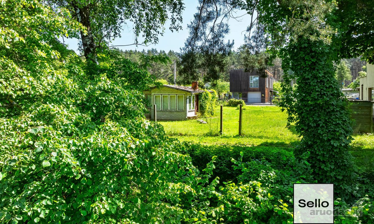  – Nt ekspertai be procentų - nuotraukos Nr. 6