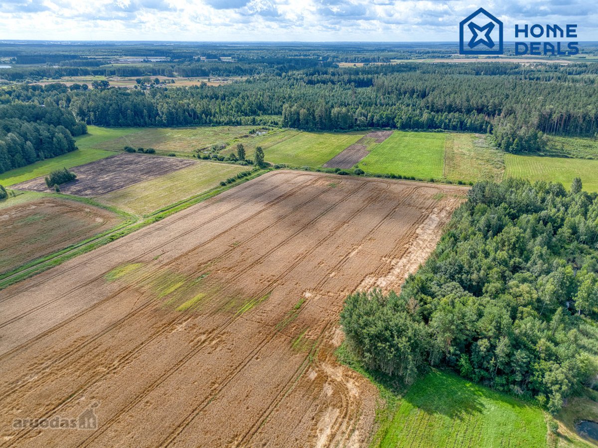 Parduodamas žemės ūkio paskirties sklypas - nuotraukos Nr. 12