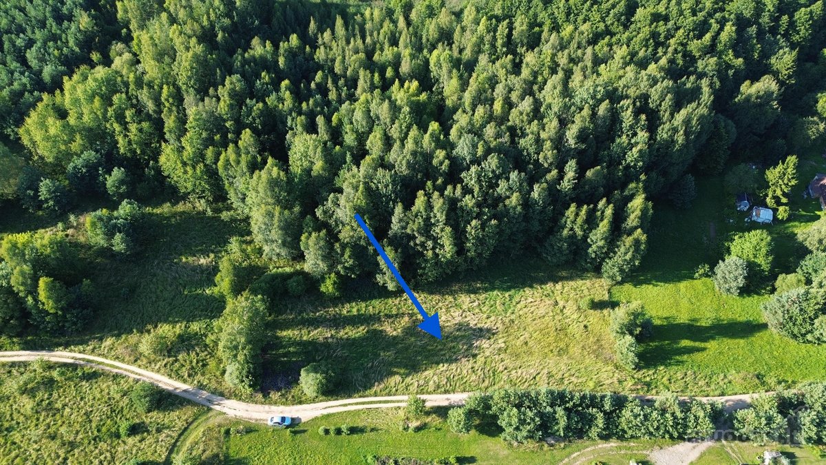 Parduodamas 25 arų sklypas Įlankos g. 4, - nuotraukos Nr. 4