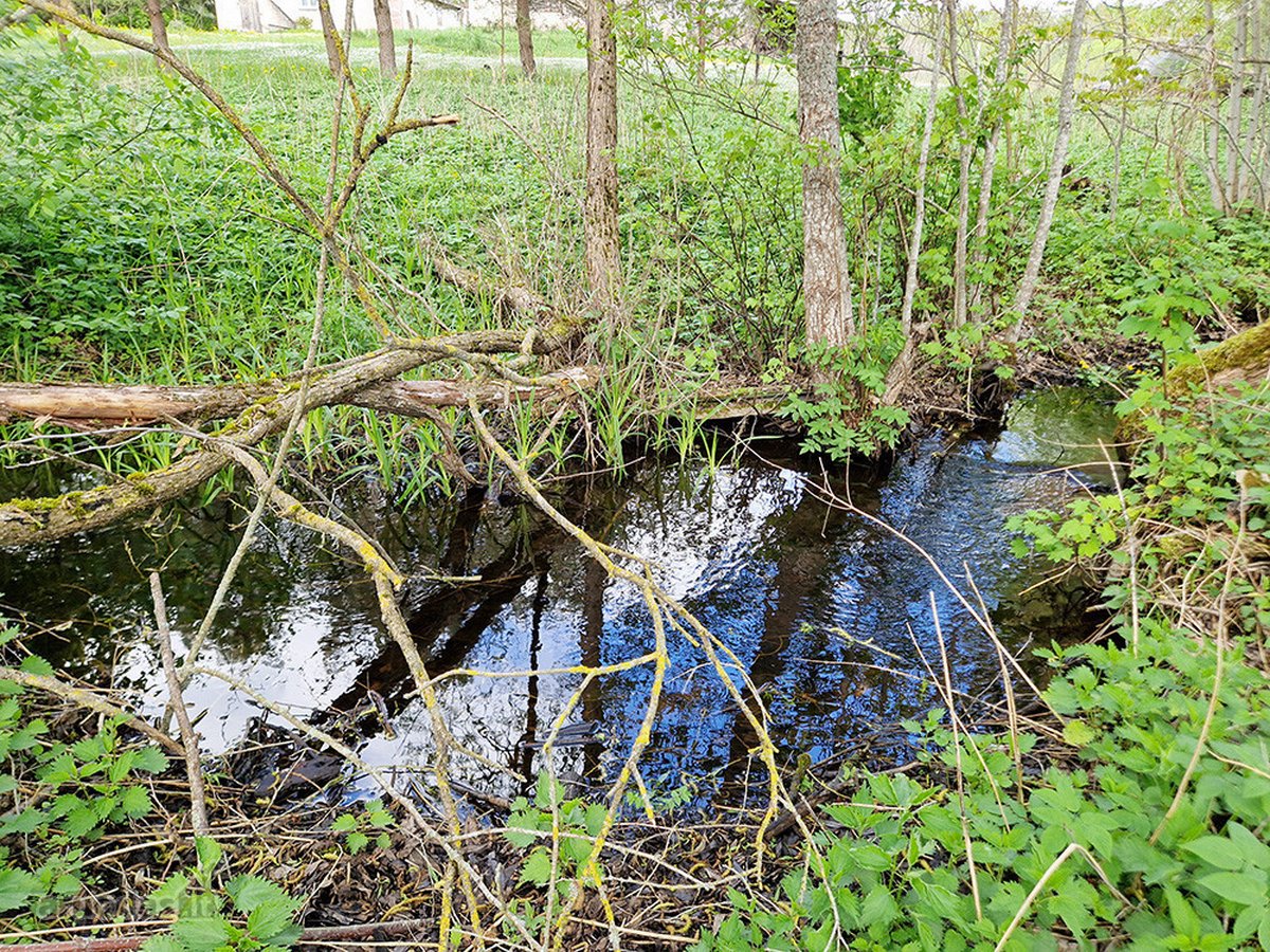 Puikus Pasiūlymas Nuolatiniam Gyvenimui Ar - nuotraukos Nr. 32