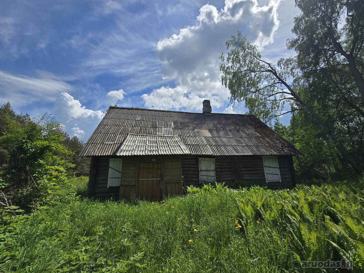 Ant gražios kalvos, miškų apsuptyje, - nuotraukos Nr. 4