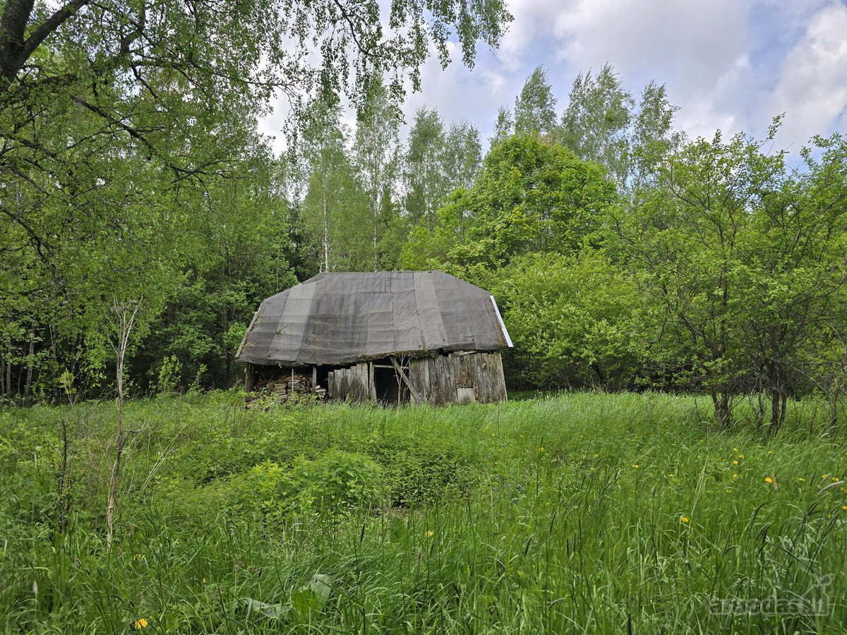 Ant gražios kalvos, miškų apsuptyje, - nuotraukos Nr. 9