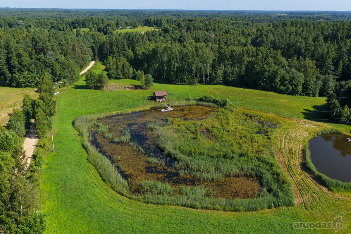 Erdvus Sklypas Su Dideliu Tvenkiniu, Pirtimi - nuotraukos Nr. 4