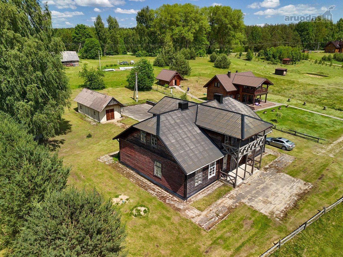 Ant Dringio ežero kranto, pušynų apsuptyje, - nuotraukos Nr. 6