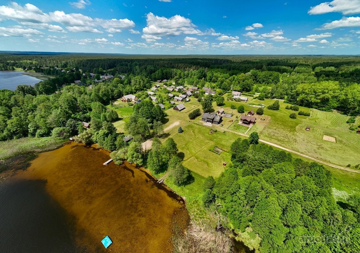 Ant Dringio ežero kranto, pušynų apsuptyje, - nuotraukos Nr. 13