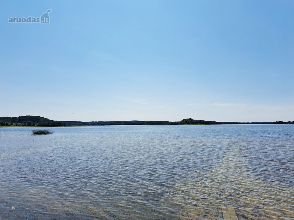 Ant Dringio ežero kranto, pušynų apsuptyje, - nuotraukos Nr. 38