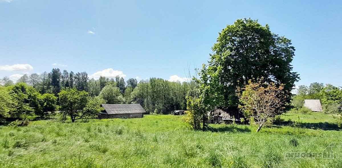 Parduodama autentiška sodyba su 1,8 ha žemės - nuotraukos Nr. 10