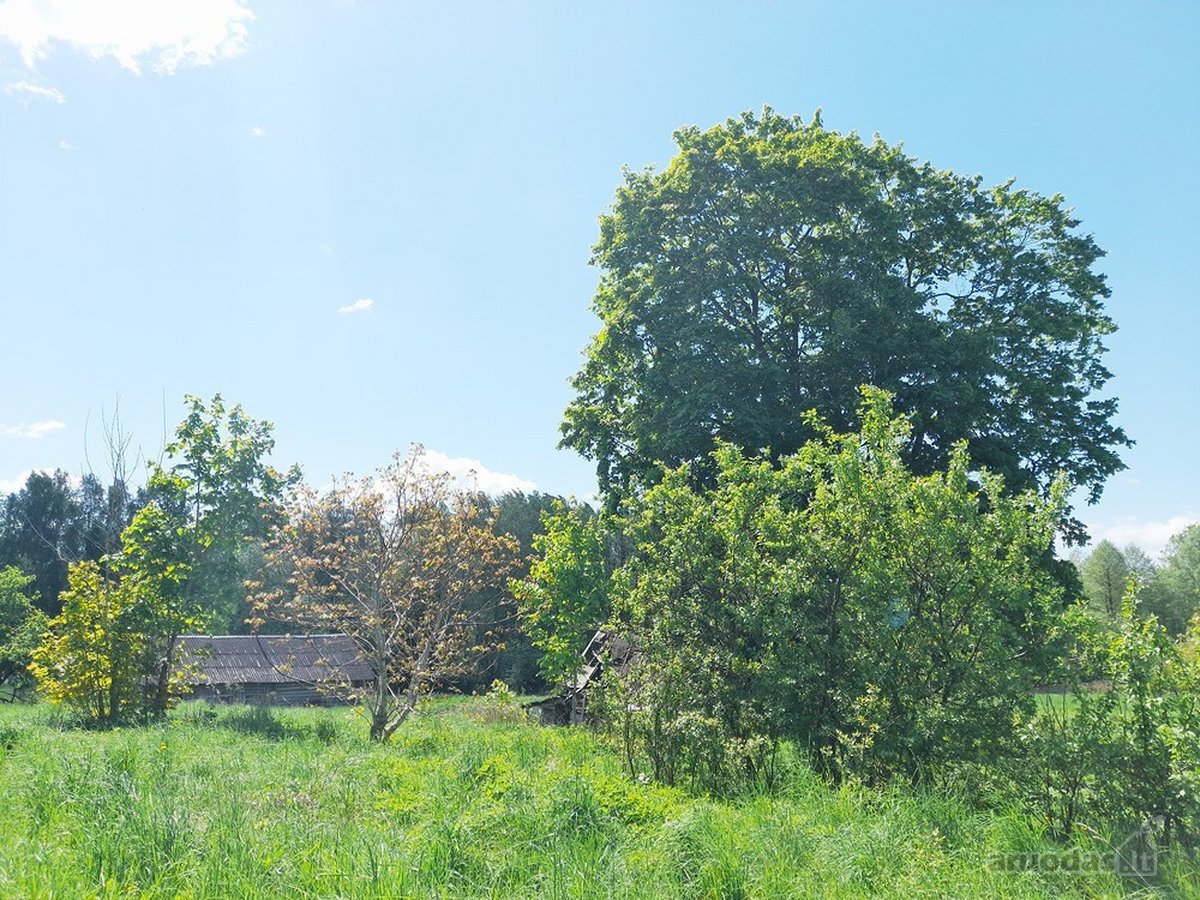 Parduodama autentiška sodyba su 1,8 ha žemės - nuotraukos Nr. 11