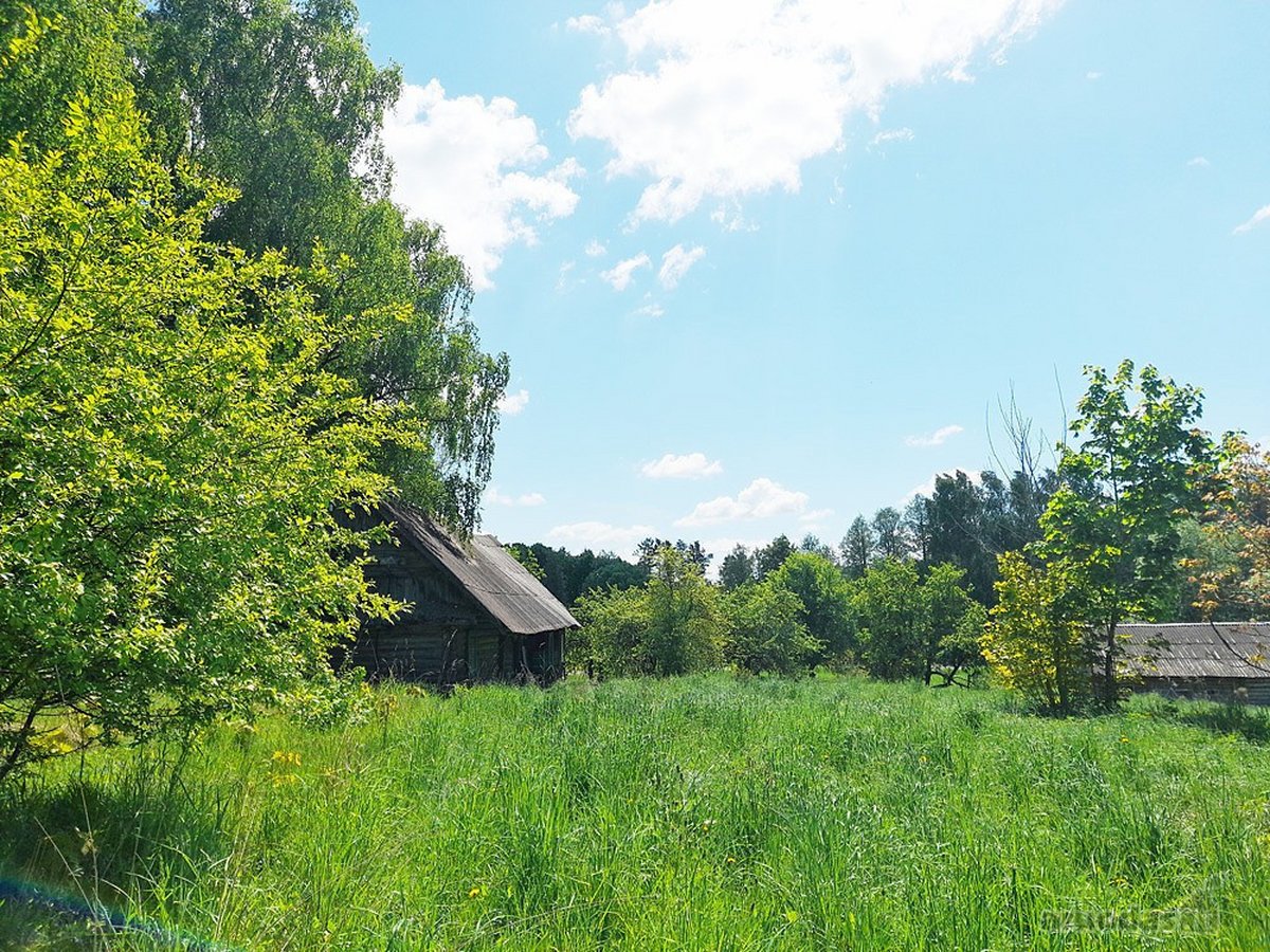 Parduodama autentiška sodyba su 1,8 ha žemės - nuotraukos Nr. 12
