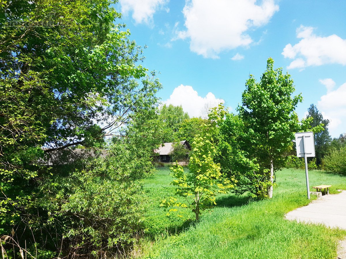 Parduodama autentiška sodyba su 1,8 ha žemės - nuotraukos Nr. 14