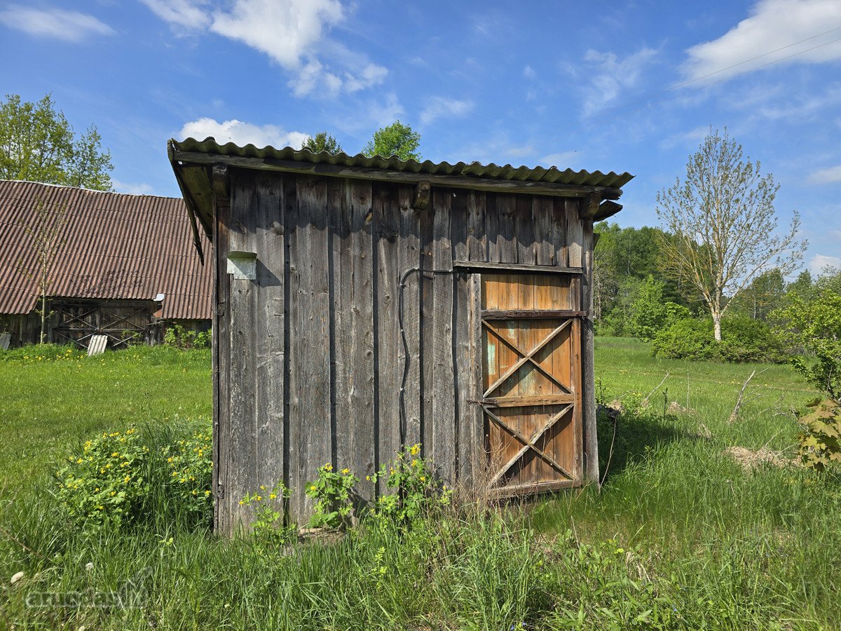 Labanoro miškų apsuptyje, jaukioje ir - nuotraukos Nr. 7