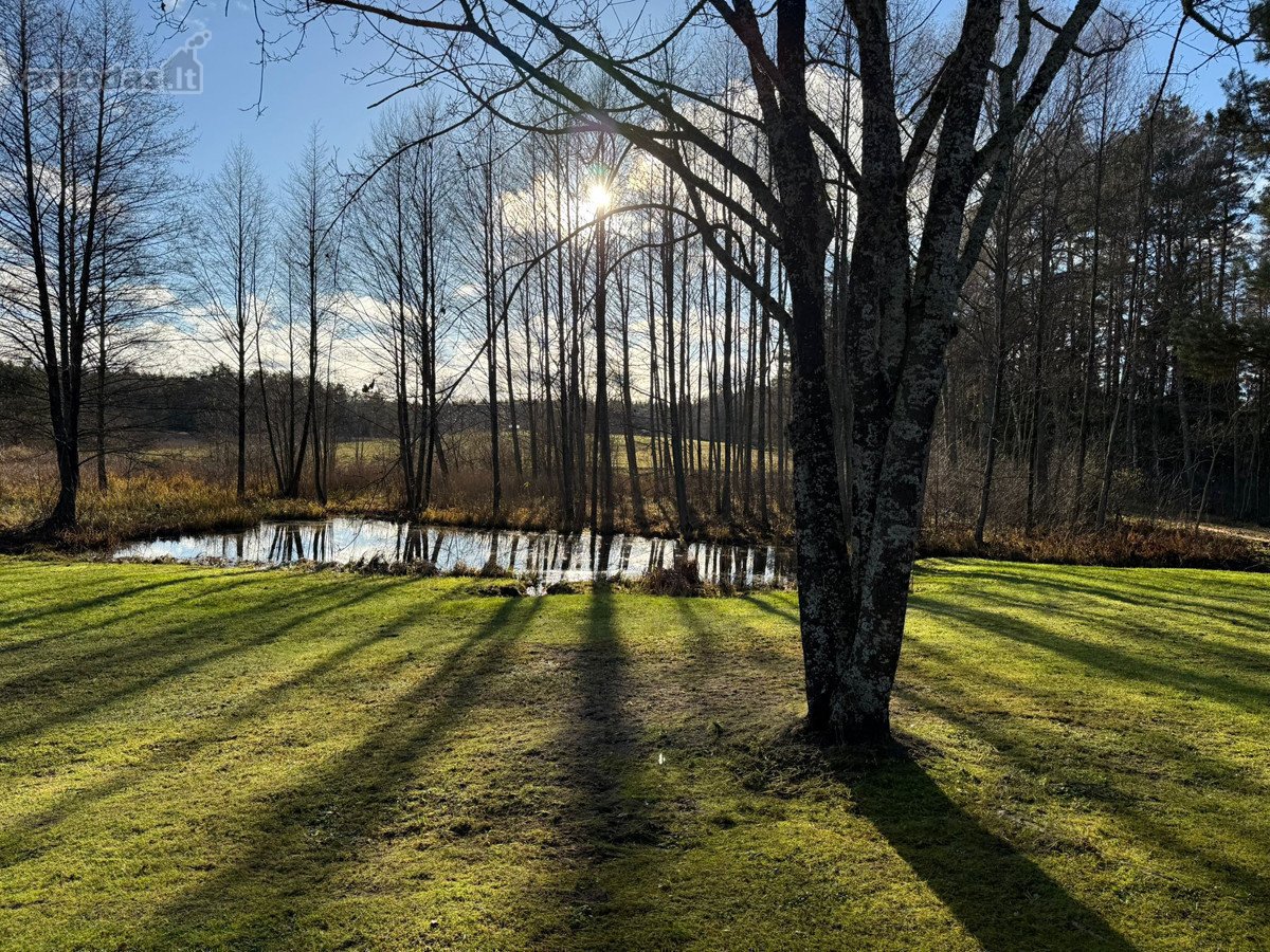 Ar Ir Jūs Pasiilgote Greitai Pasiekiamos - nuotraukos Nr. 13