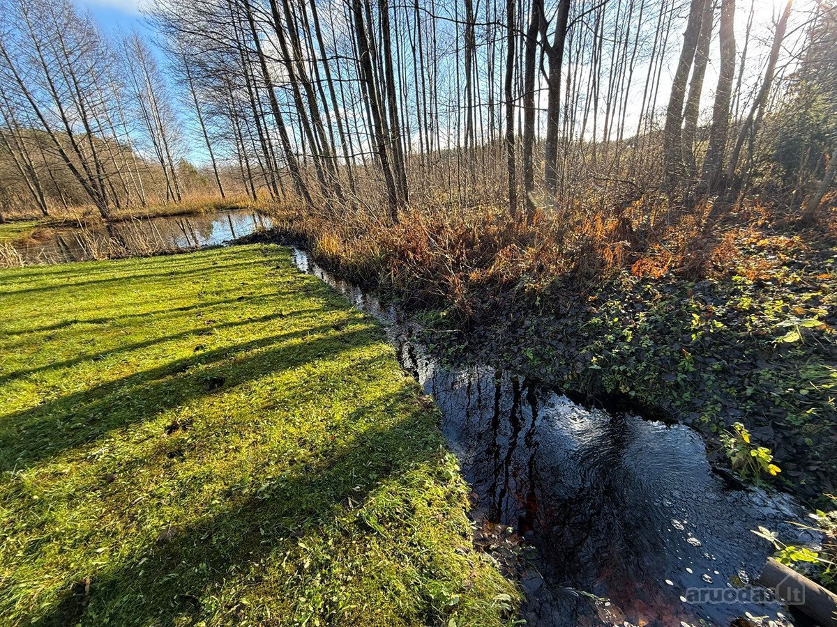 Ar Ir Jūs Pasiilgote Greitai Pasiekiamos - nuotraukos Nr. 14