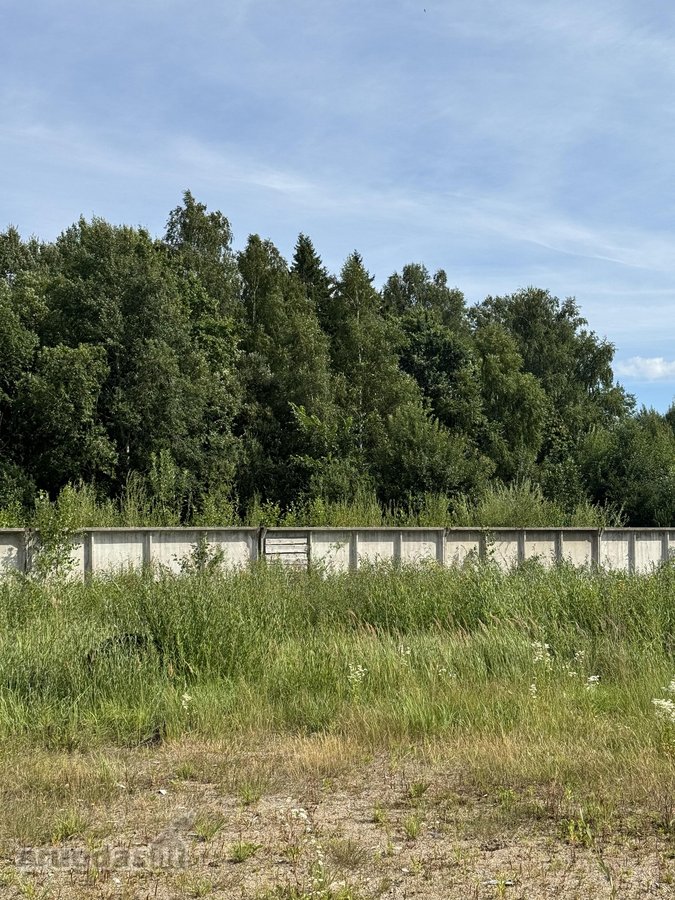 Parduodamas komercinės paskirties žemės - nuotraukos Nr. 3